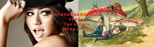 спайс Кодинск
