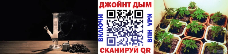 Купить закладки  Багратионовск  Шишки марихуана OG Kush 
